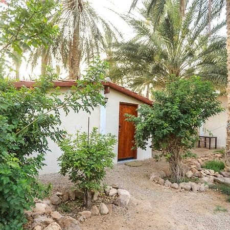 Hotel Dar Barka Kebili Exterior foto