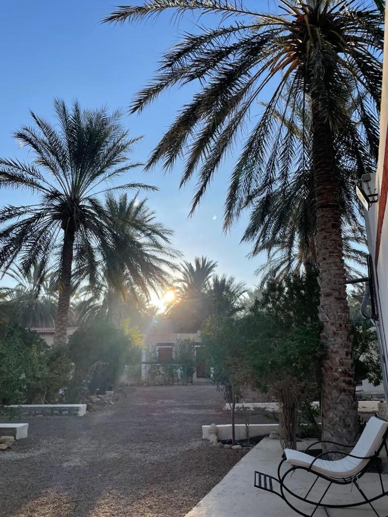 Hotel Dar Barka Kebili Exterior foto