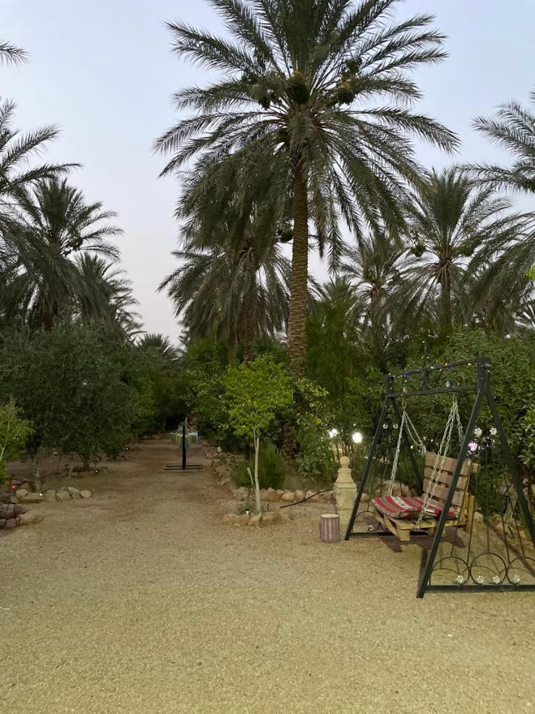 Hotel Dar Barka Kebili Exterior foto
