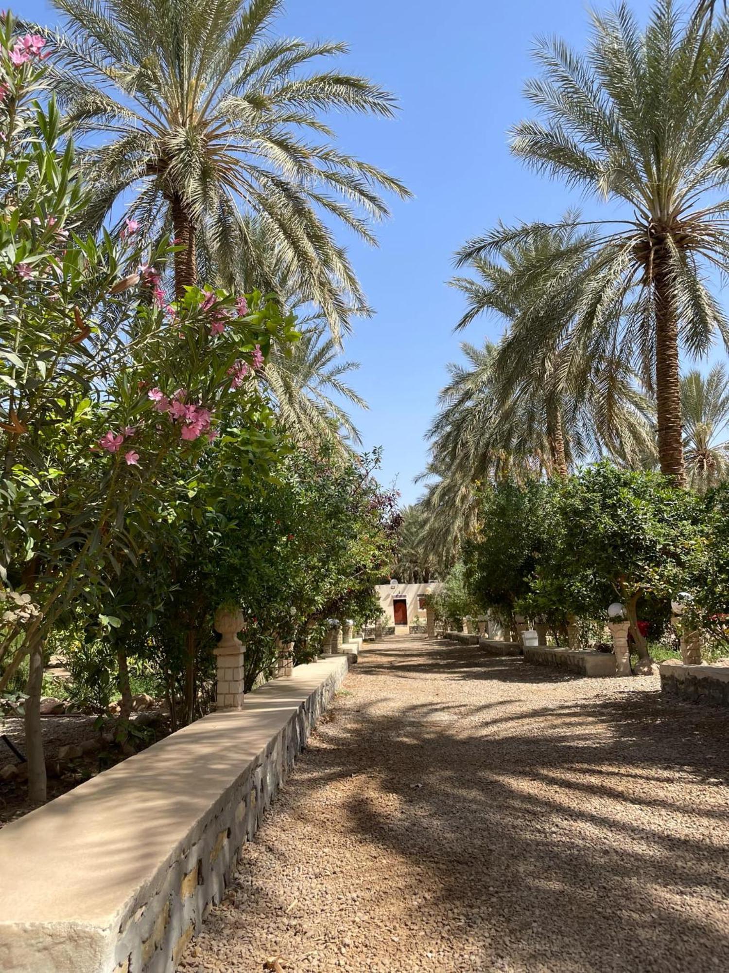 Hotel Dar Barka Kebili Exterior foto