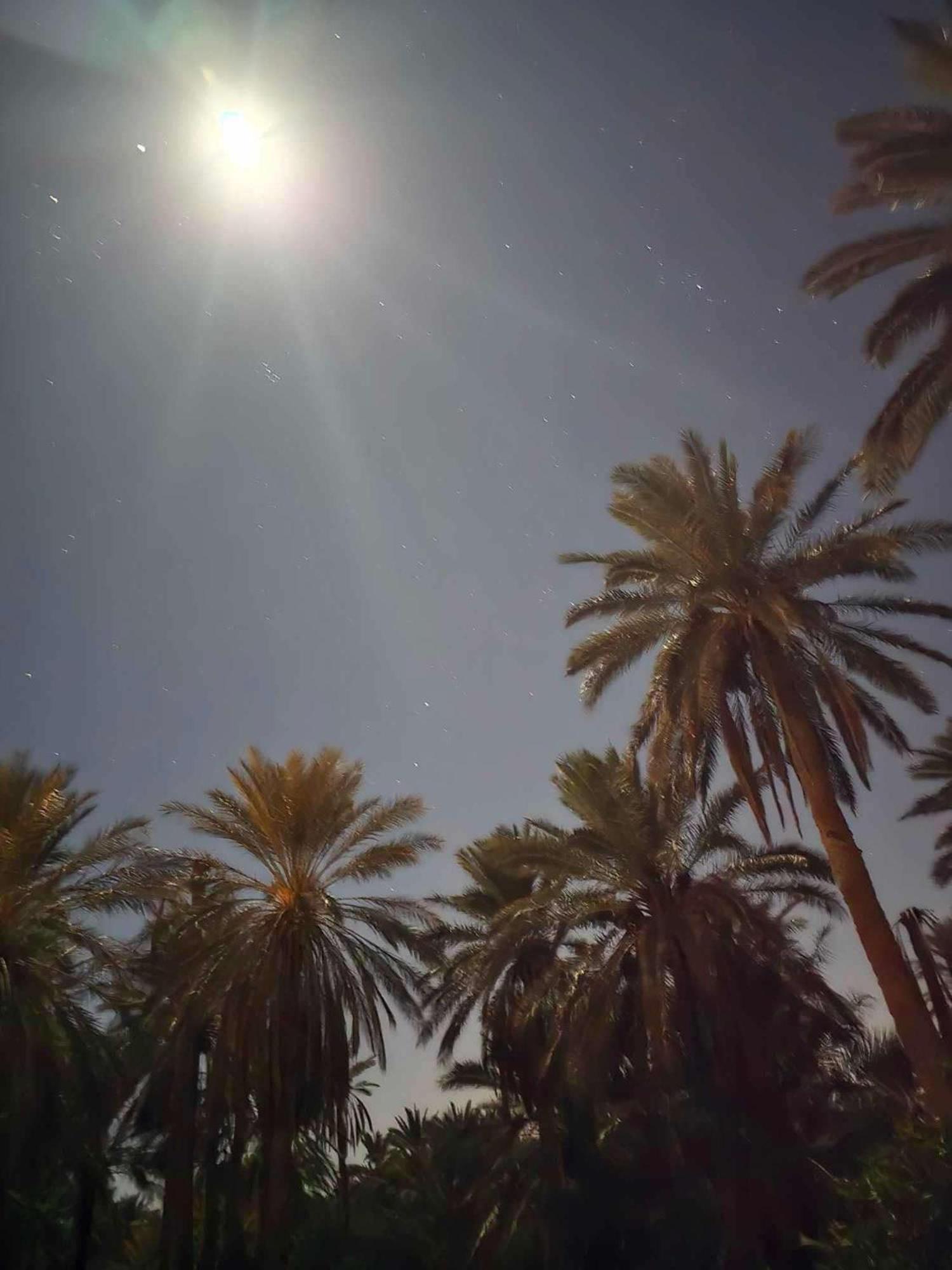 Hotel Dar Barka Kebili Exterior foto